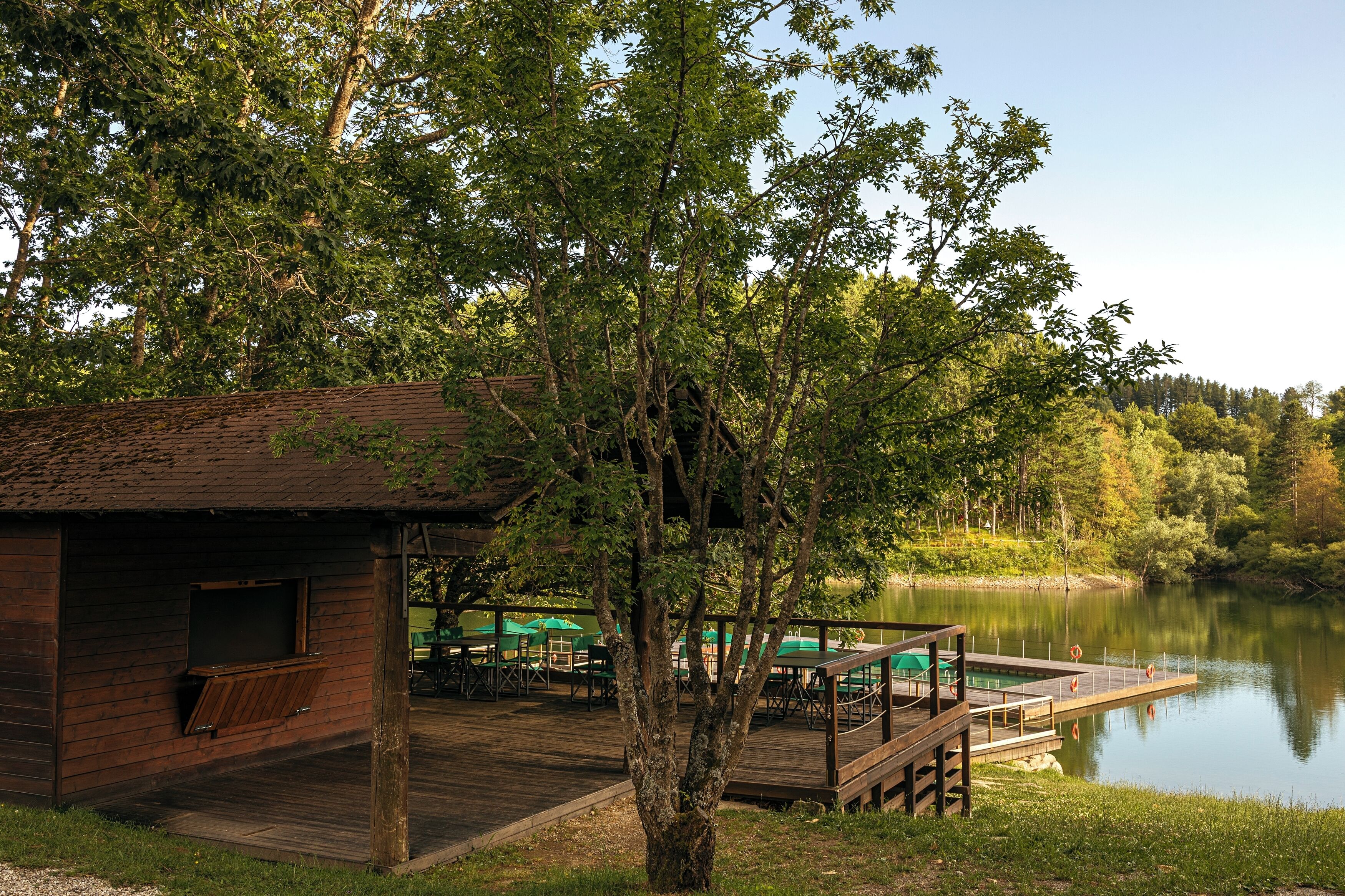 Swim-up bar