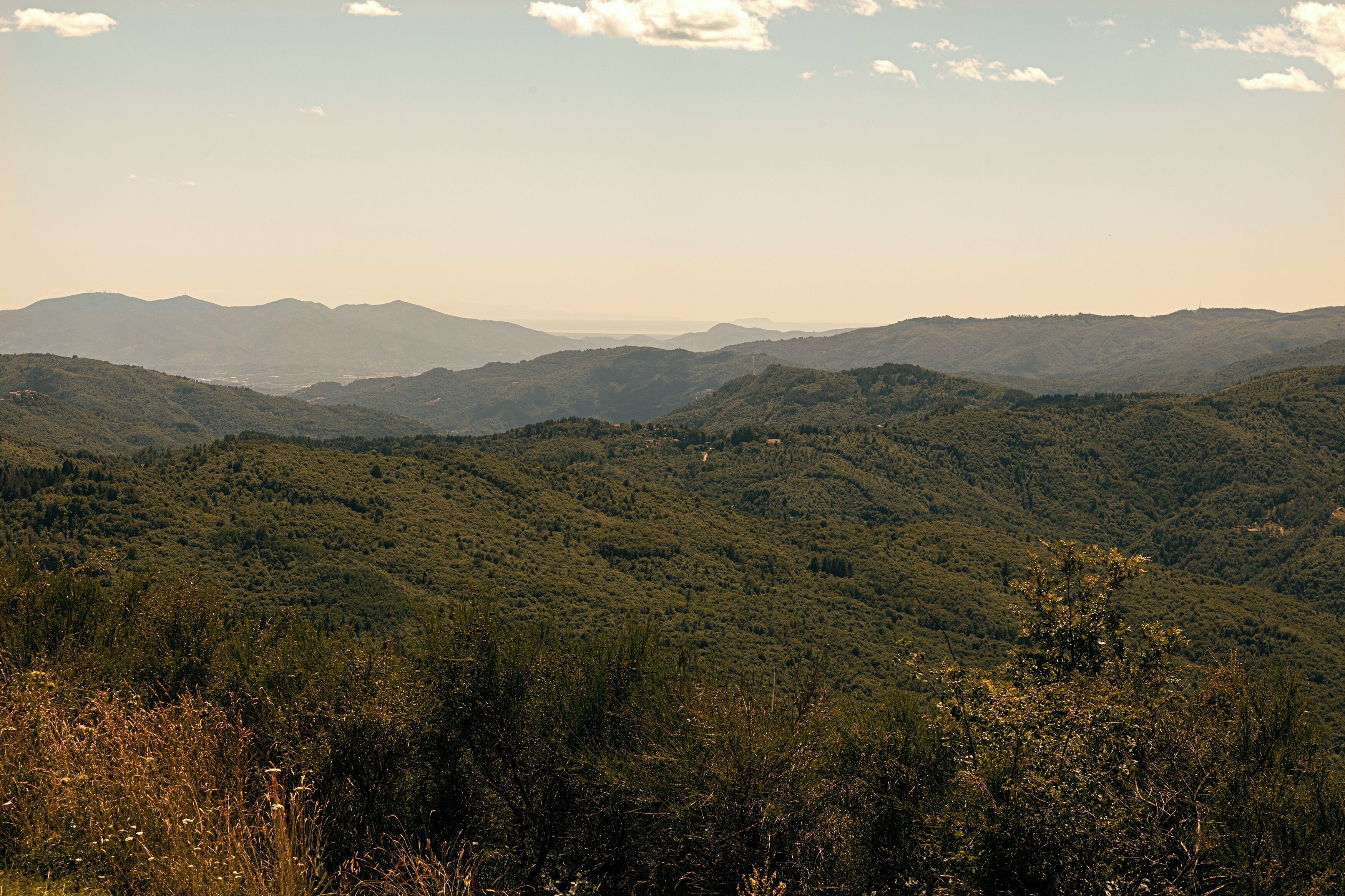 A mountainous landscape with rolling hills and dense vegetation.