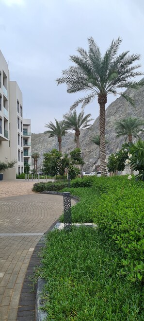 Property grounds - Branded /beach apartment managed by the Address Beach & Mountain view (Fujairah)