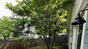 A patio with a table and chairs, a brick pathway, a wooden fence, and a tree. - 3BR/1BA BROKEN ARROW HOME (Broken Arrow)