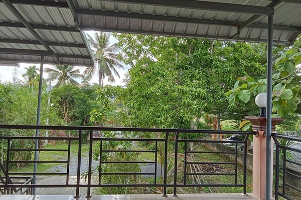 Basic Room, 1 King Bed | Terrace/patio