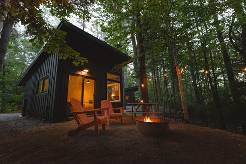 Modern, Luxurious Cabin in the Woods - 01