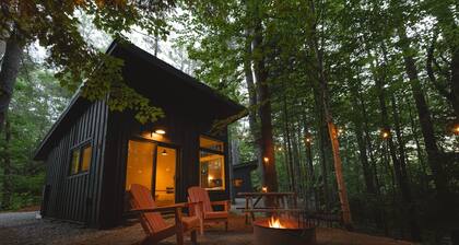 Modern, Luxurious Cabin in the Woods - 01