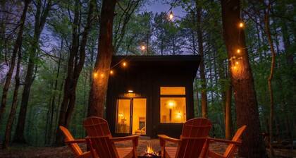 Modern, Luxurious Cabin in the Woods - 01