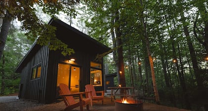 Modern, Luxurious Cabin in the Woods - 03