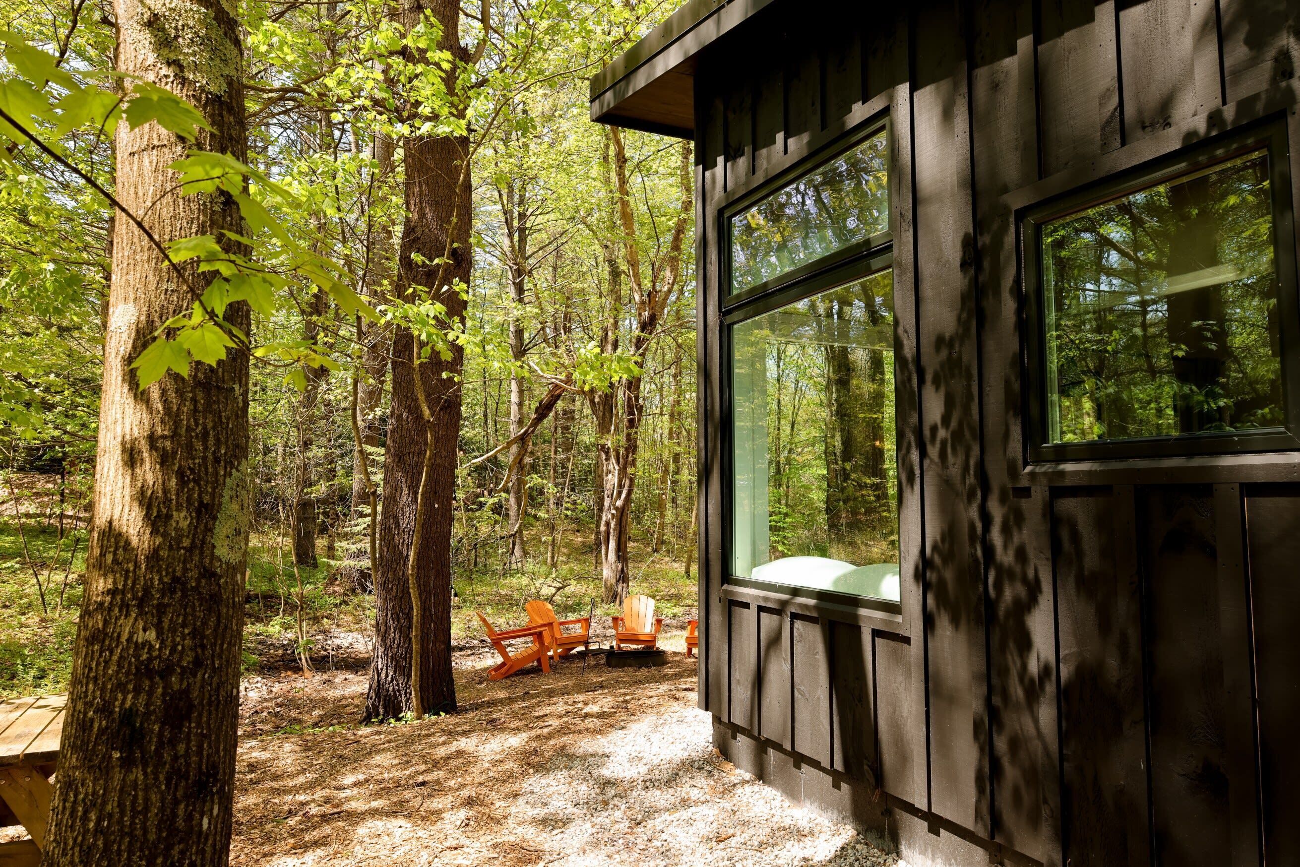 A cabin with large windows overlooking a forest.