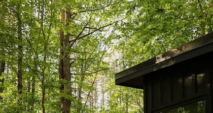 Modern, Luxurious, Cabin in the Woods - 17