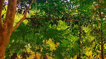 A laptop on a stone bench surrounded by lush greenery and trees.