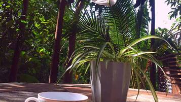 A potted plant with a white flower, a cup, and a logo for Malunggay Apartments.