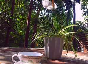 A potted plant with a white flower, a cup, and a logo for Malunggay Apartments. - Malunggay Apartments (Mariveles)