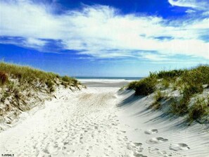 A sandy beach path with footprints leading to the ocean, surrounded by dunes. - Beach Bungalow -- 1.5 Blocks to Beach! (Brigantine)