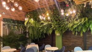 Uma área de estar acolhedora, com mesas redondas e cadeiras azuis, rodeada por plantas verdes exuberantes e luminárias pendentes.