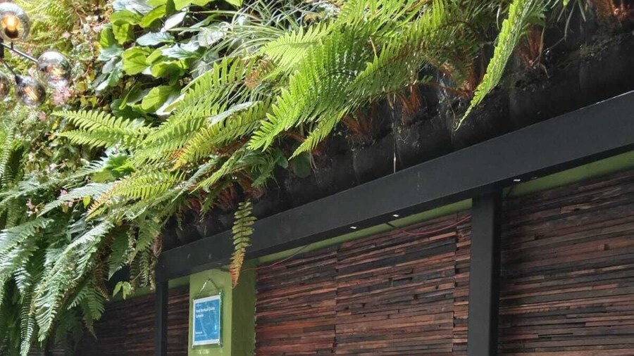 Hotel Boutique Quinta Camacho