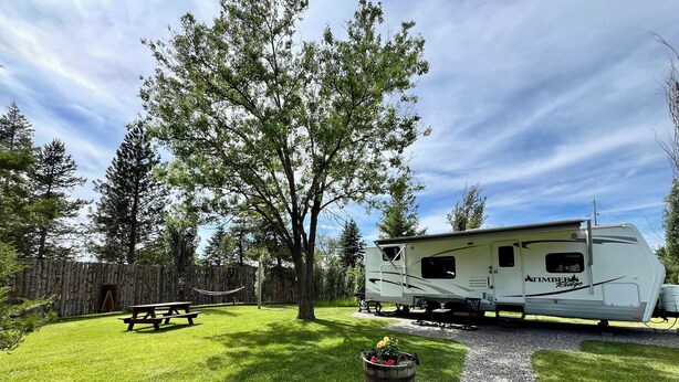 Un camping-car blanc, arborant le logo « Timber Ridge », est garé dans une zone herbeuse, à proximité d’une table de pique-nique et d’un pot de fleurs.