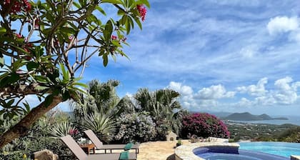 The View has amazing vistas and an infinity pool