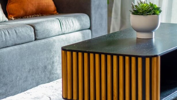 Un salón moderno con un sofá gris, un cojín naranja, una planta verde grande y una mesa de centro negra con listones de madera verticales.