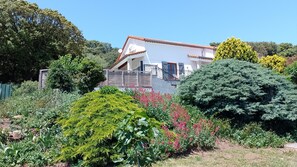 Ein Haus mit weißer Fassade und rotem Dach, umgeben von üppigem Grün und verschiedenen Pflanzen.