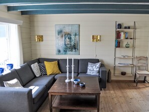 TV, fireplace, DVD player