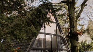 Een moderne, driehoekige constructie met een glazen dak, omgeven door bomen en een houten hek.