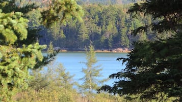 Un lago rodeado de un bosque frondoso.