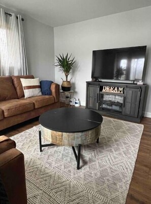 Smart TV, fireplace, books