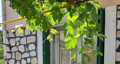 Maison familiale avec grand jardin, en bordure de voie verte