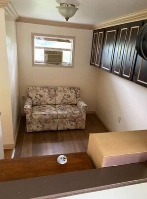 Smart TV, books, video library