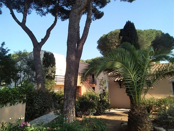 Parco della struttura