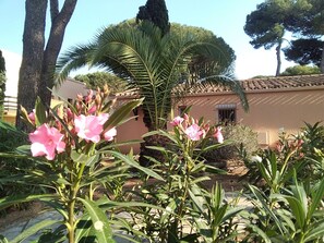 Dettaglio esterni