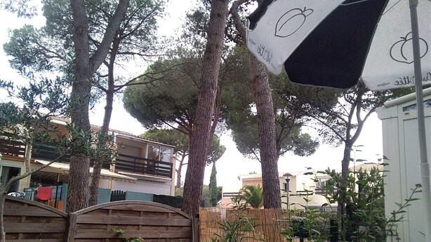 Zona enjardinada amb tanca de fusta, arbres i estructura blanca amb disseny blanc i negre.