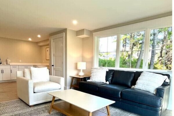 Televisor intel·ligent i llar de foc