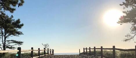 A sandy beach path leading to the sea, bordered by wooden fences and trees.