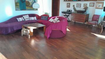 Télévision, cheminée, livres, chaßne hi-fi