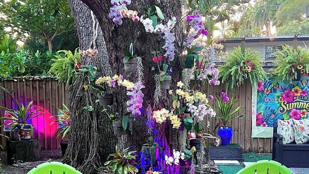 Two green Adirondack chairs with floral cushions, a small red table, and a large tree with hanging orchids. - Boutique Guest House – Private Patio Oasis – Near Beach – Family-Friendly (North Miami)