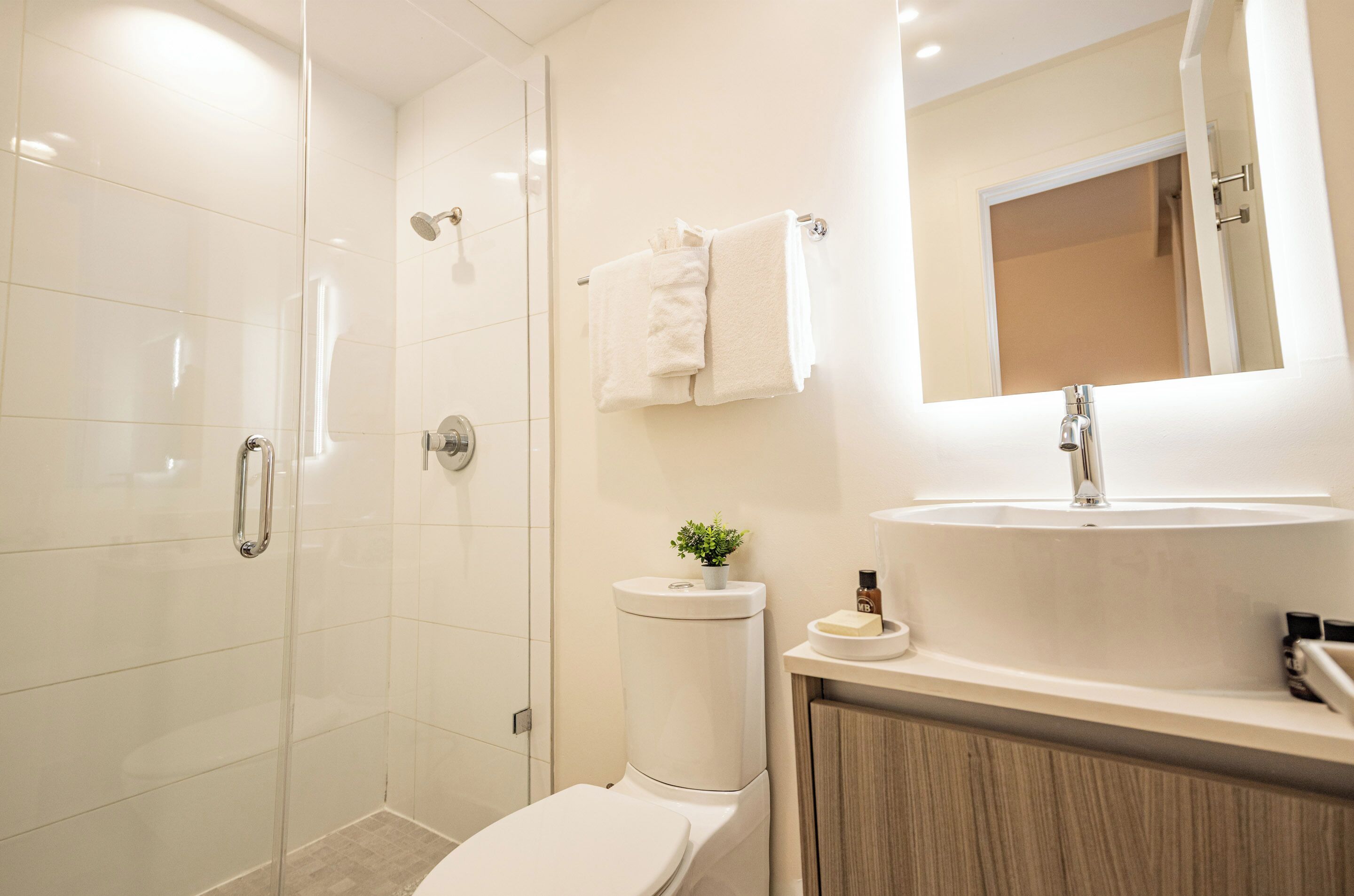 A modern bathroom with a glass shower enclosure, a toilet, a sink with a mirror above it, and a small potted plant on the sink.