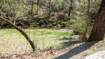 Terrain de l’hébergement