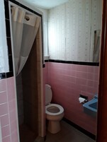 Ducha, toallas, jabón, shampoo