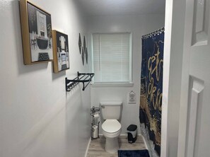 Hair dryer, towels, toilet paper