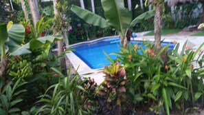 屋外プール、温水プール