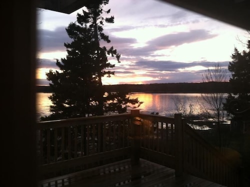 Clamshell By The Sea