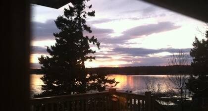 Clamshell By The Sea