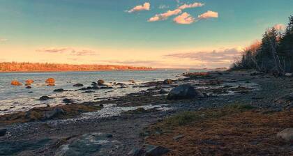 Puffin Rock - New 2022!