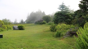 Un prato erboso con massi sparsi e fitta vegetazione arbustiva.