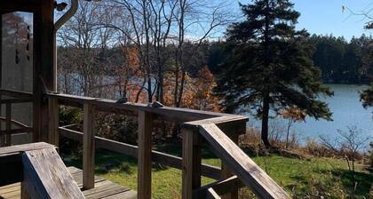 Dear Cove - Kayaking!