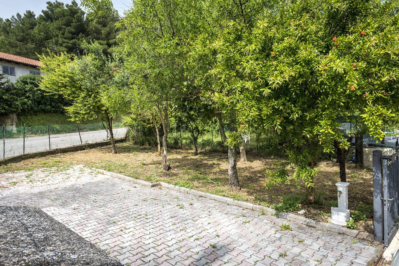 Une zone dallée avec des arbres et une clôture.