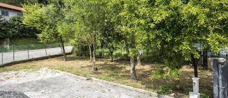 A paved area with trees and a fence.