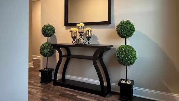 Un couloir avec une console noire, un miroir et deux plantes vertes en forme de sphère.