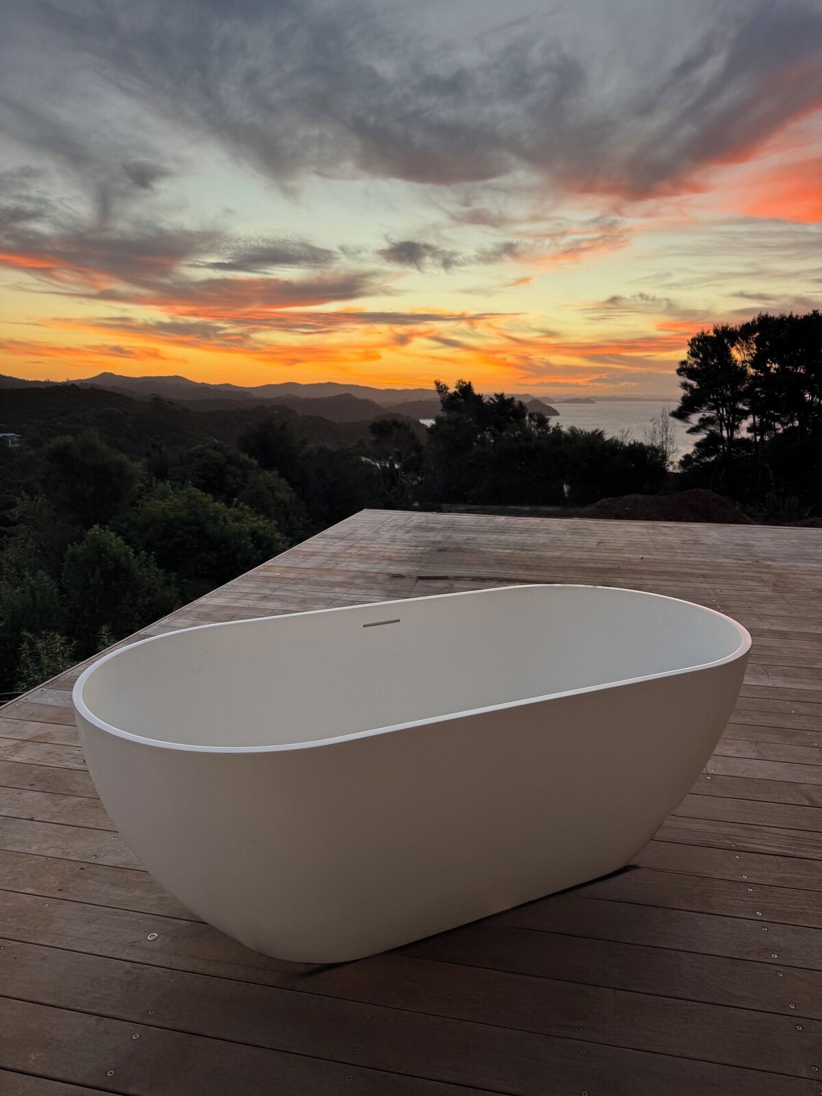 Imagen de perfil del propietario o de la propietaria