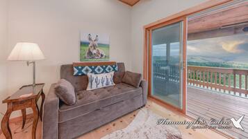 Televisión, chimenea, reproductor de DVD y libros