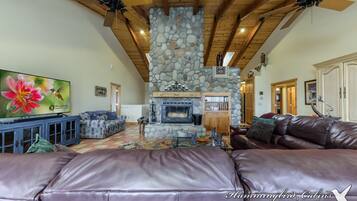 TV, fireplace, DVD player, books